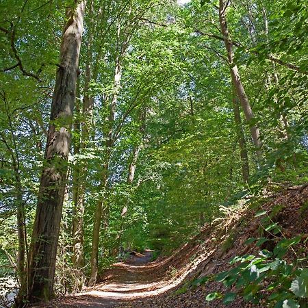 L'Epicentre Villa Sart-lez-Spa Dış mekan fotoğraf