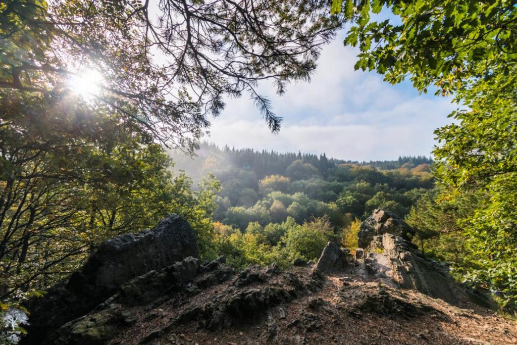 L'Epicentre Villa Sart-lez-Spa Dış mekan fotoğraf